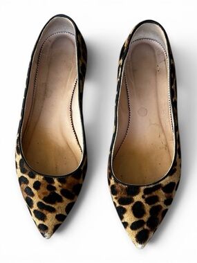 Women's J Crew Leopard Print Pointed Toe Flats - Brown